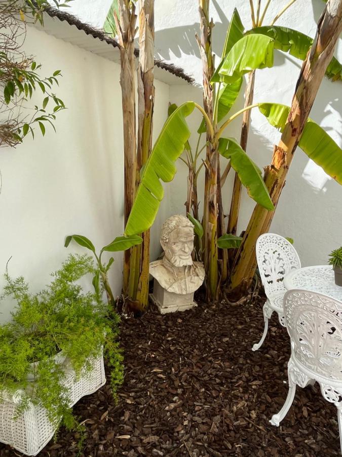 Estudio A 10 Minutos Del Puerto Banus エステポナ エクステリア 写真
